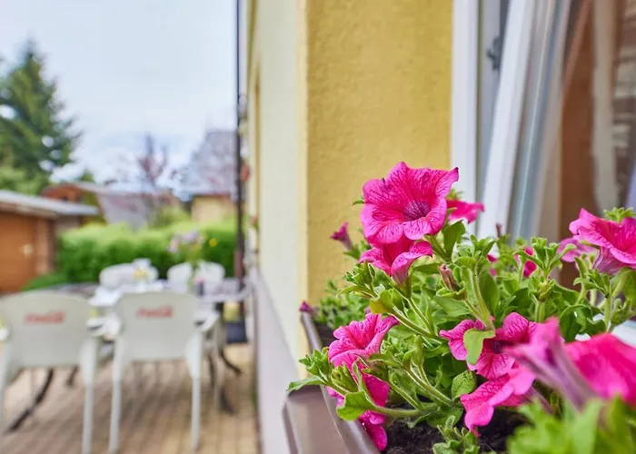 Lägenhet U Sustru By Interhome