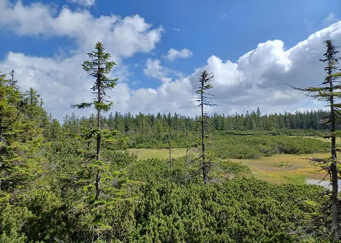 Lägenhet U Sustru By Interhome *